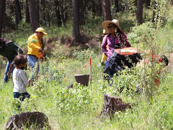 Acuerdo de gobierno de Puebla y ONU para reducir riesgos en municipios