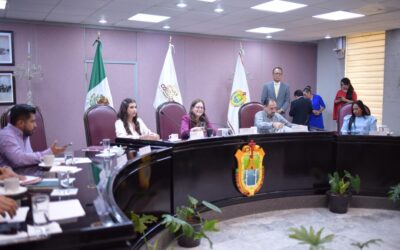 Reducirían ayuntamientos pago predial para quienes implementen azoteas verdes