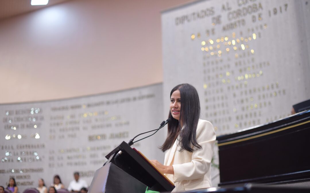 Pide diputada solución a constantes apagones en la zona Veracruz-Boca del Río