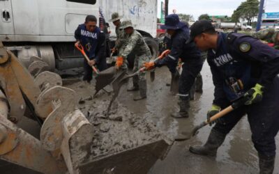 Despliegue masivo de fuerzas Federales y Estatales en Álamo para labores de limpieza 