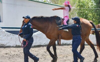 Equinoterapia de SSP, motor que impulsa y cambia la vida de niñas, niños y  jóvenes con discapacidad