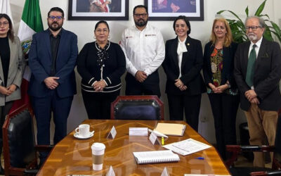 Aprueba COLVER su Programa Institucional 2025 – 2030