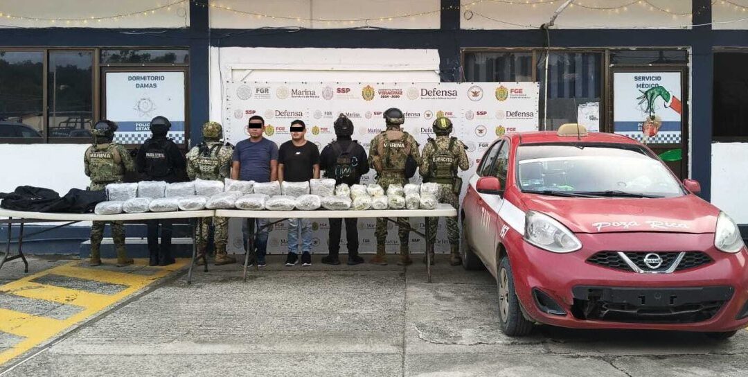 Asegura SSP 22 vehículos y decomisa probables estupefacientes